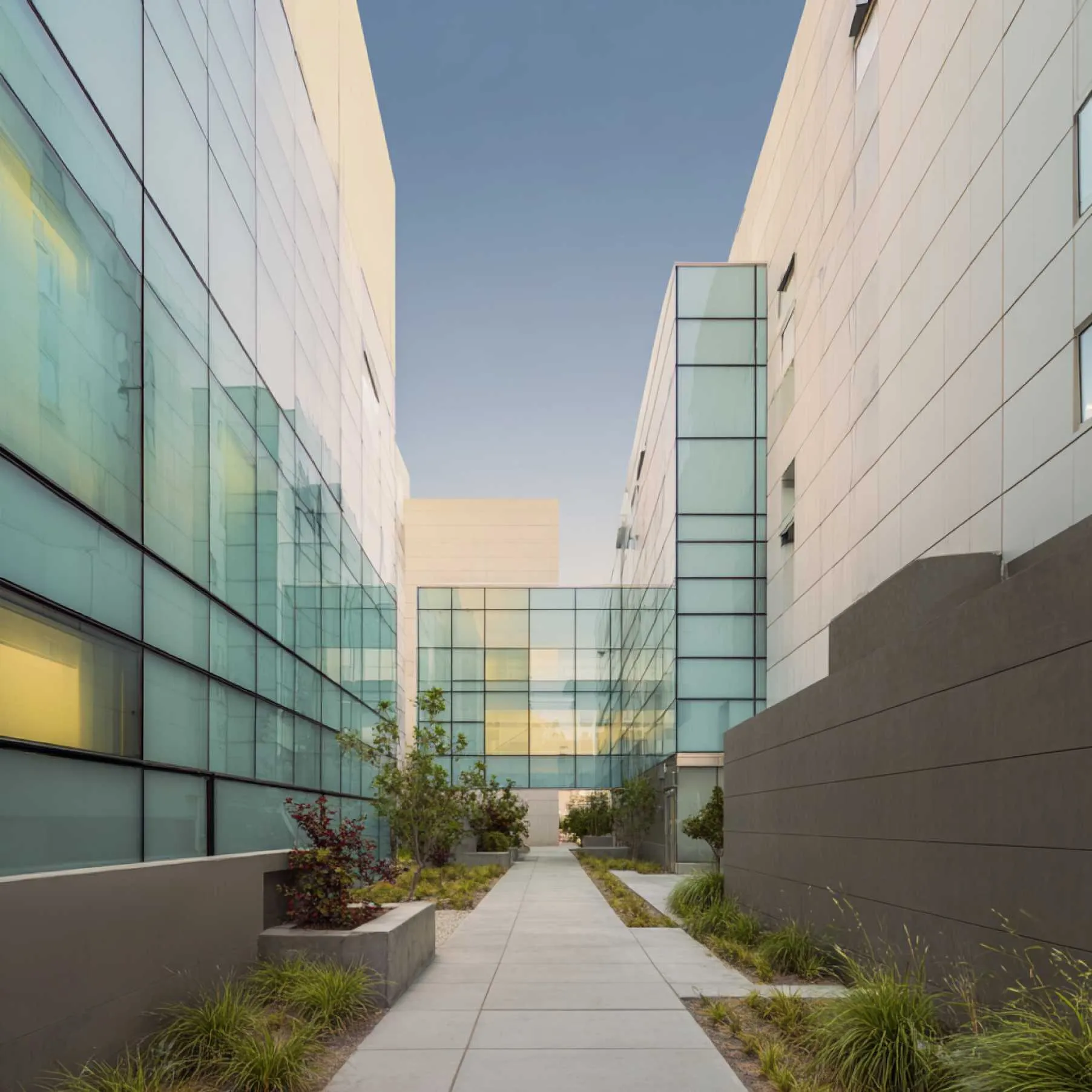 Cass County Community Mental Hlth DBA Woodlands Behavioral Healthcare (MH) Featured Image