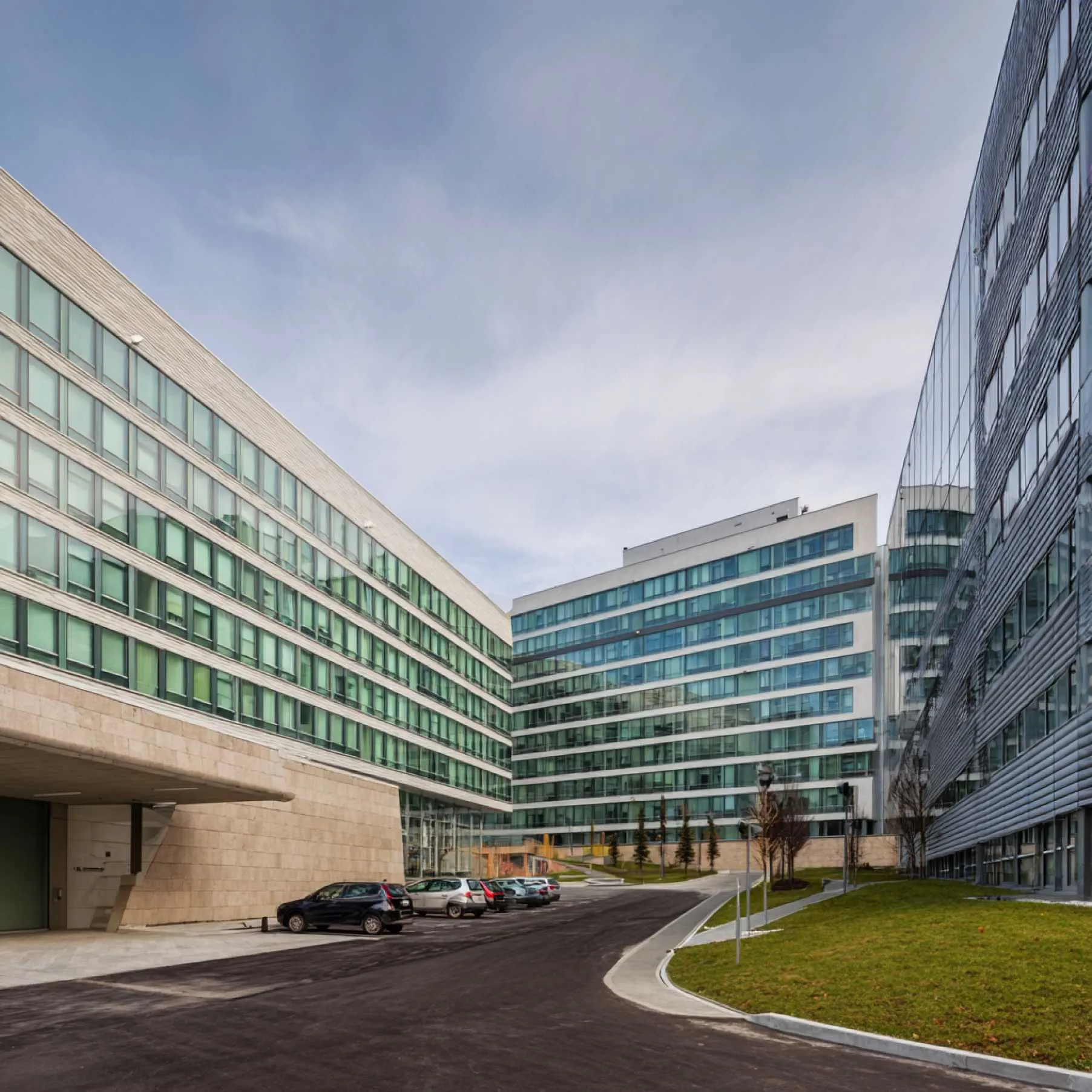 Compass Health Wise Yellow (MH) Featured Image