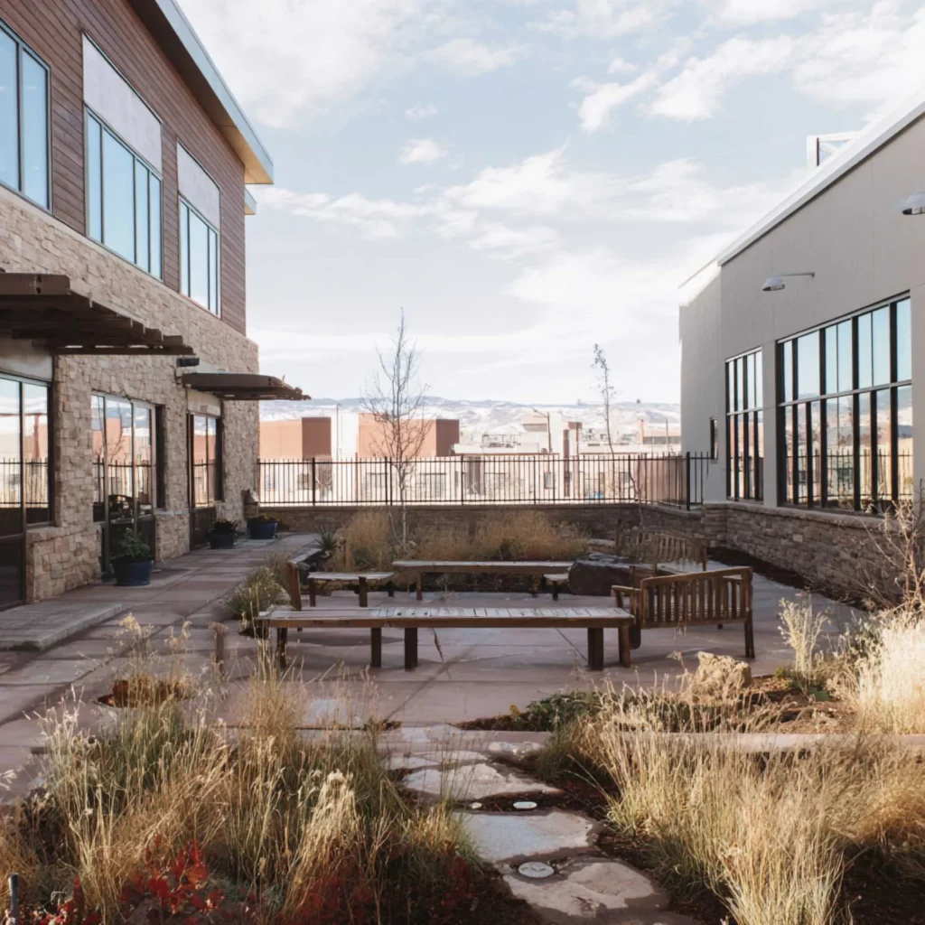 Momenta Recovery  (MH) Featured Image